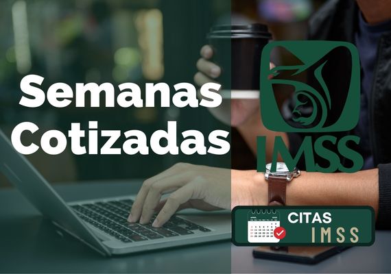 ᐈ¿cómo Consultar Mis Semanas Cotizadas En El Imss 2024 1958